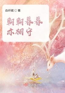 神一样的高手
