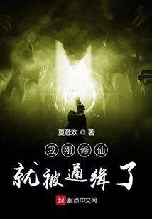 驴闯天关