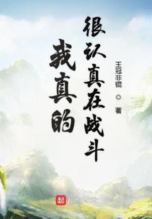荟萃