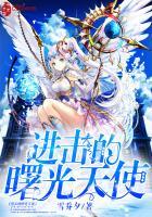 老婆我真不是有意骗你离婚