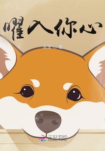 雷侠异世