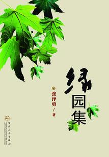 《十年之暗恋》