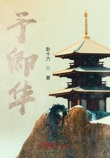 半截子圣人