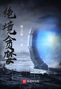 篡史的小贼