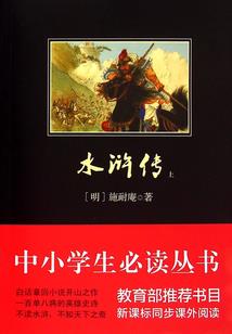 我只是一 杀手