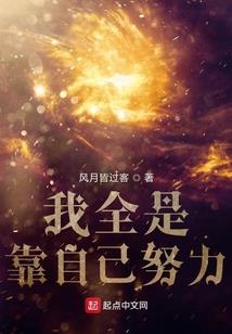 枫林枫叶