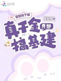 海贼：我要成为新闻王