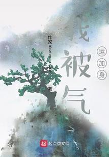 一生风华