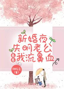次元的旅者