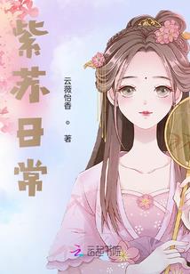 365个航班