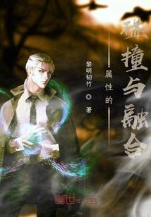 傲飞传奇