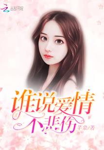 穿越数码之第二使命