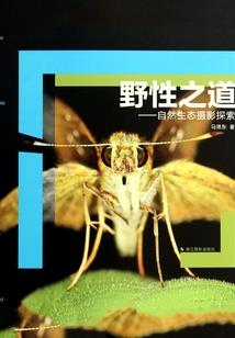 御宇之圣御大陆