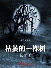 阴阳书肆
