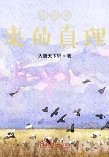 风华——夜尽之曦