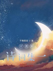 爱上拾荒者