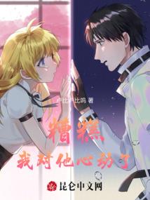 宝可梦之白夜传说
