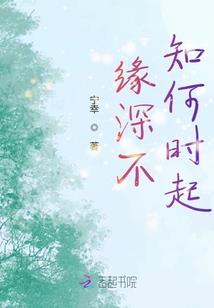 风皇演义