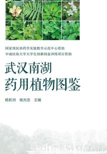 搞怪的八个小孩只神秘的异界大陆