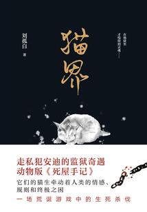 雨落星魂