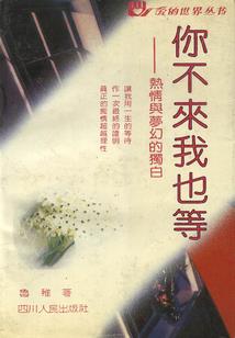 红心飞