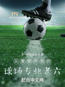 痴情王爷的双生妃