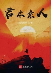雁雪纷飞