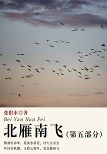 皮影道情
