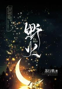 你是南纬九十度的极光