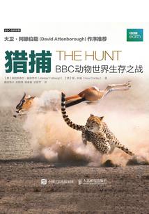 不思进取之猫幻想集