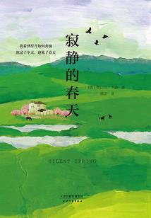 神探博博之英雄本色