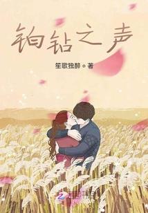 又一年爱别样