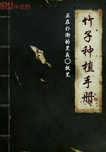 再世魔导