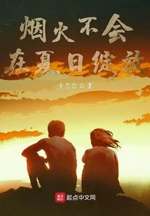 王虫网络