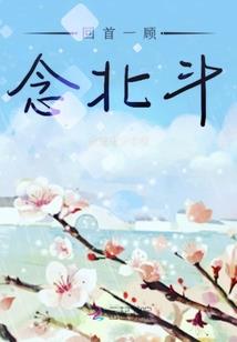 神奇宝贝之小梦传