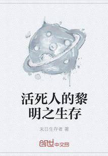 龙启镶天