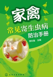 过去，我们的青春