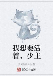 火影之旗木赤风