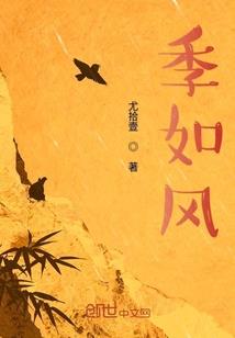 新高达SEED