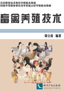 你是我的贴身膏药