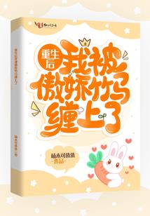 SJ刺客