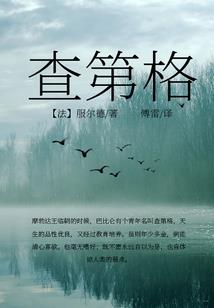 征服梦魇的王者