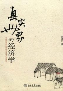 断线风筝之猫儿，日记