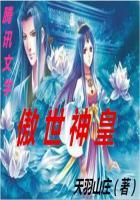 飞升从负债一个亿开始