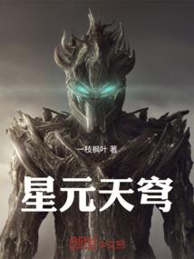 迷茫者的补完之旅