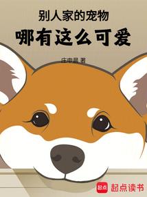 昙华传