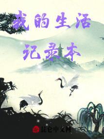 我刚穿越那几年