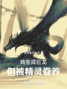 忻城莫氏土司系列之诡变