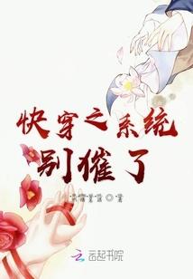 SES神秘组织案集