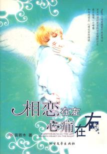 谍血丹心